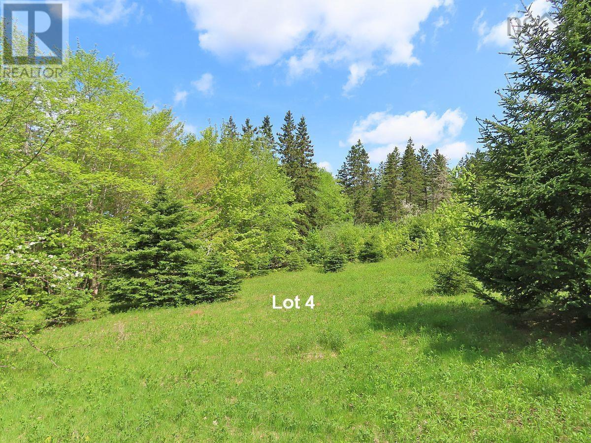 3 Lots Gold River Road, Upper Middle River, Nova Scotia  B0E 1B0 - Photo 27 - 202426003