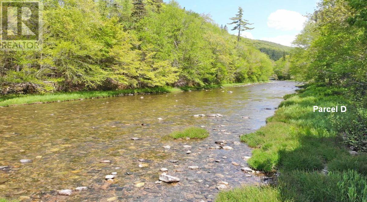 3 Lots Gold River Road, Upper Middle River, Nova Scotia  B0E 1B0 - Photo 4 - 202426003