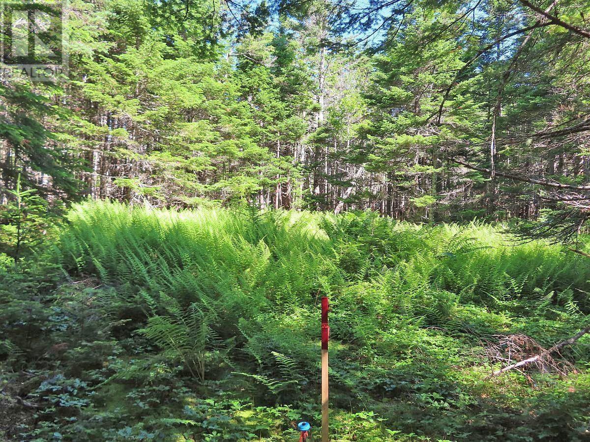 Lot 4 Loch Lomond Road, Big Pond, Nova Scotia  B1J 1R4 - Photo 15 - 202411604