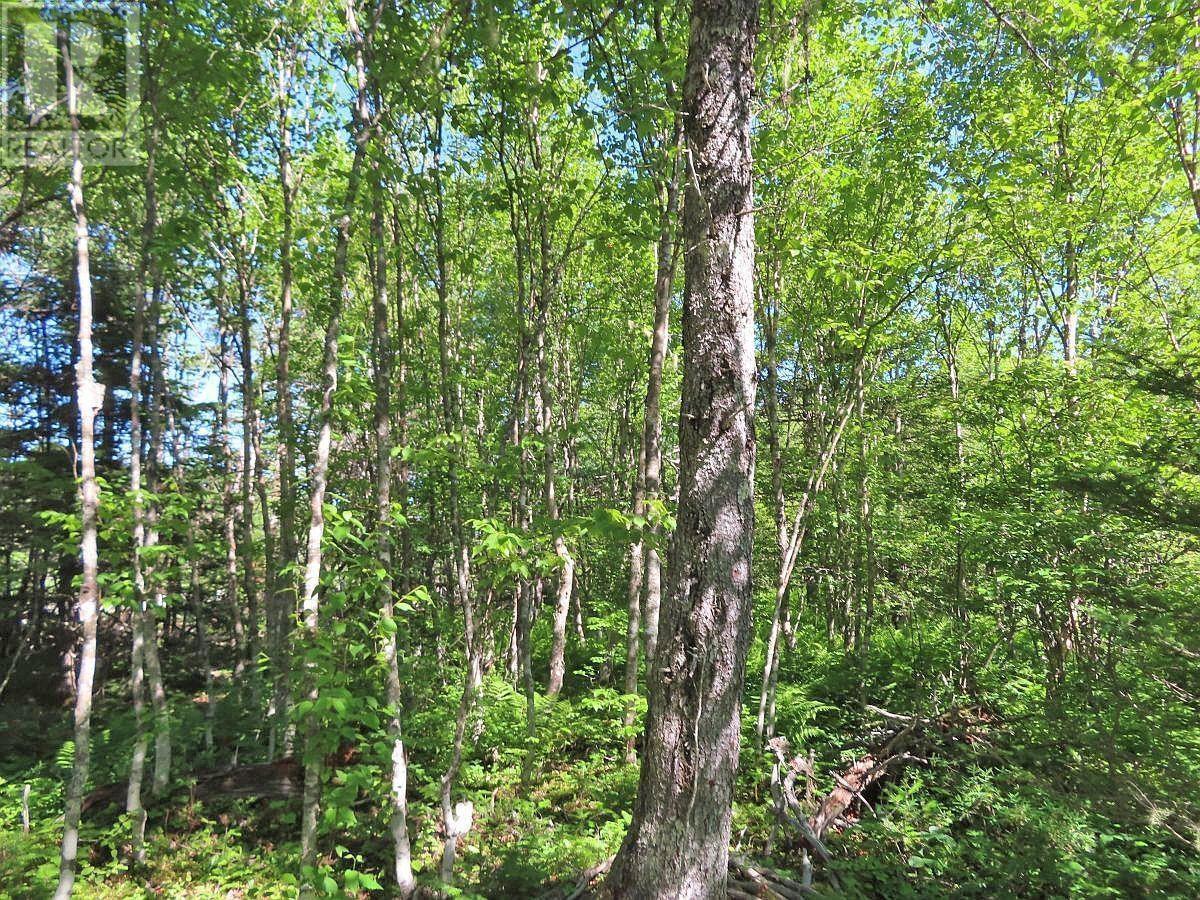 Lot 10 Loch Lomond Road, Big Pond, Nova Scotia  B1J 1R4 - Photo 14 - 202411605