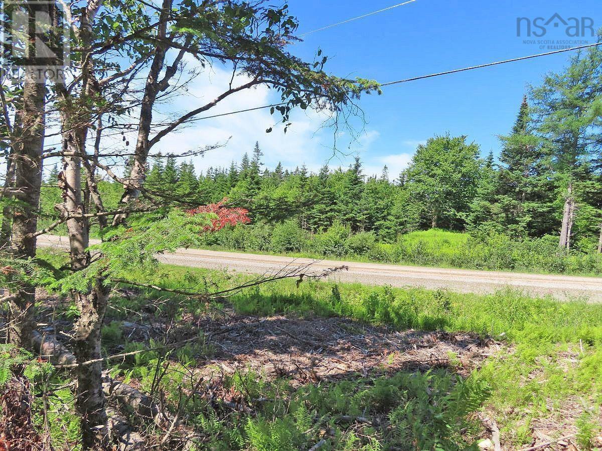 Lot 10 Loch Lomond Road, Big Pond, Nova Scotia  B1J 1R4 - Photo 22 - 202411605
