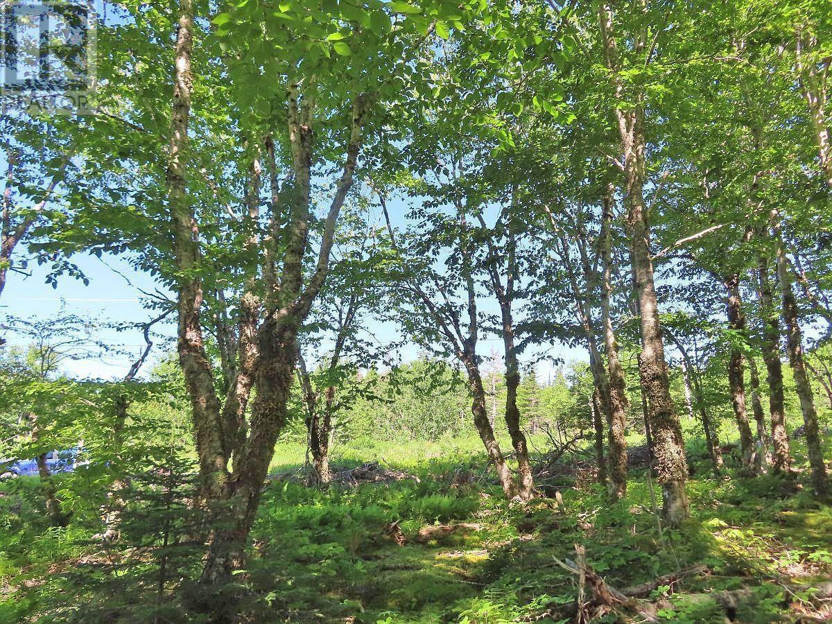 Lot 10 Loch Lomond Road, Big Pond, Nova Scotia  B1J 1R4 - Photo 9 - 202411605