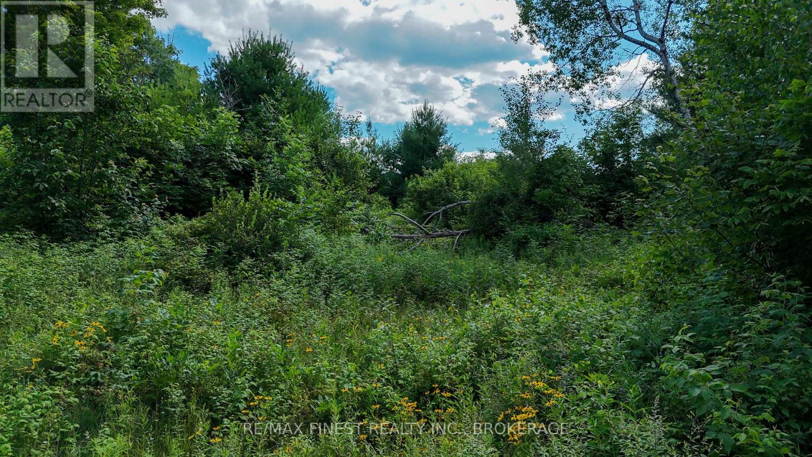Lot 14 -15 0 Thunder Lane, Frontenac (Frontenac Centre), Ontario  K0H 1B0 - Photo 9 - X12272986