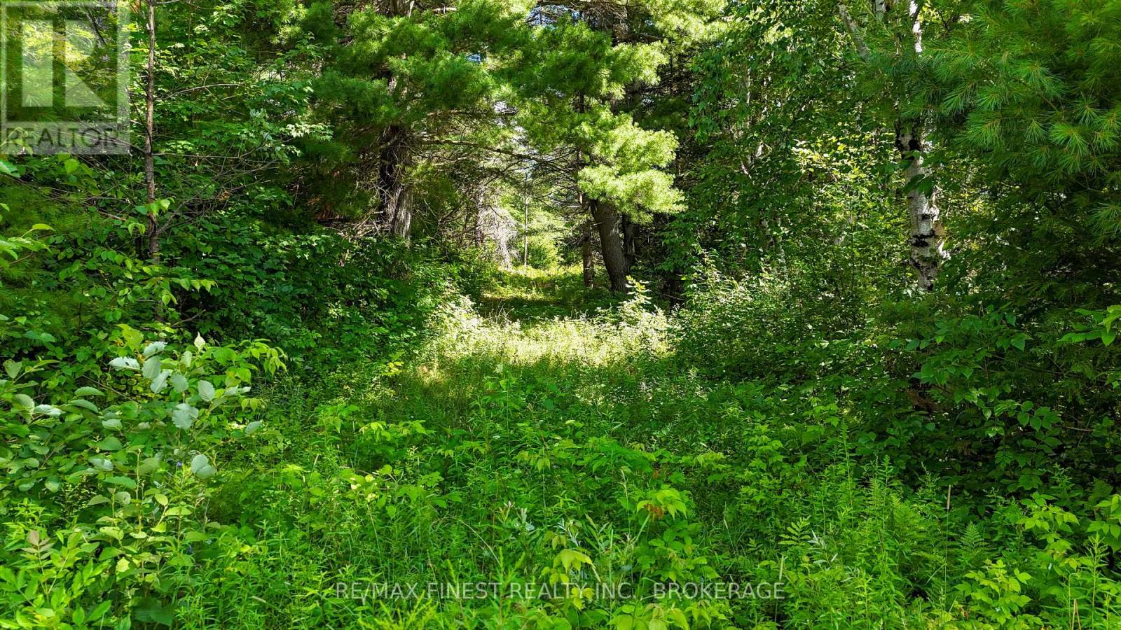 Lot 14 -15 0 Thunder Lane, Frontenac (Frontenac Centre), Ontario  K0H 1B0 - Photo 5 - X12272986