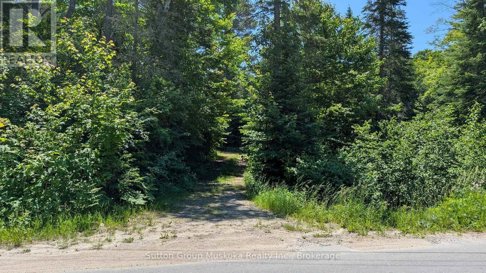 Lot 1 Red Pine Trail, Bracebridge, Ontario  P0B 1L0 - Photo 6 - X12295609