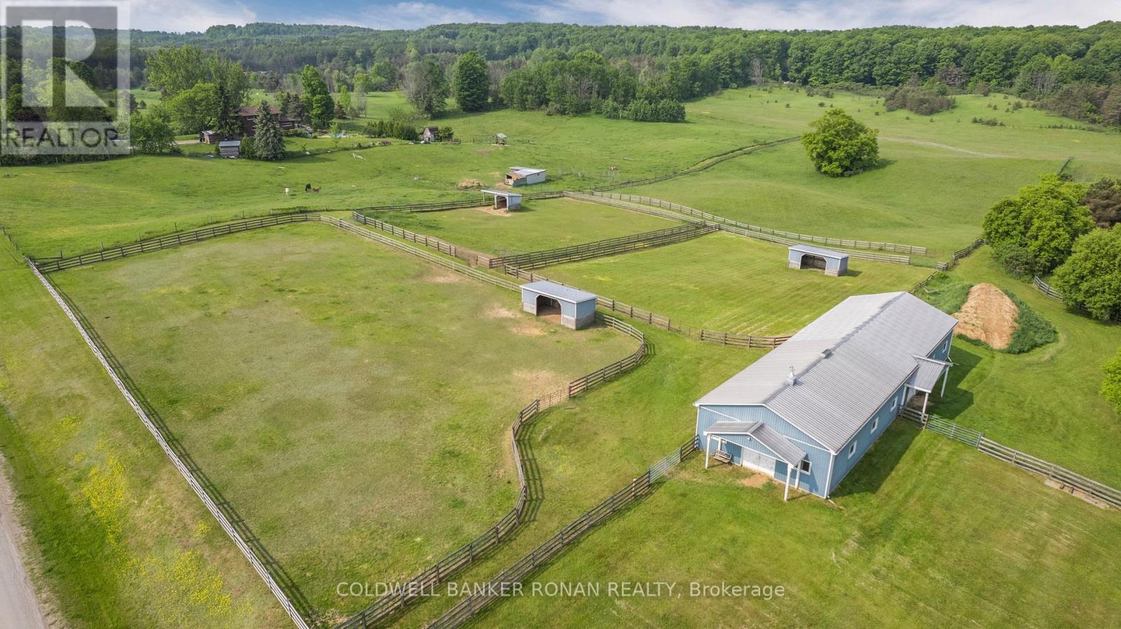1604 Concession Rd 8, Adjala-Tosorontio, Ontario  L0G 1W0 - Photo 2 - N12295720