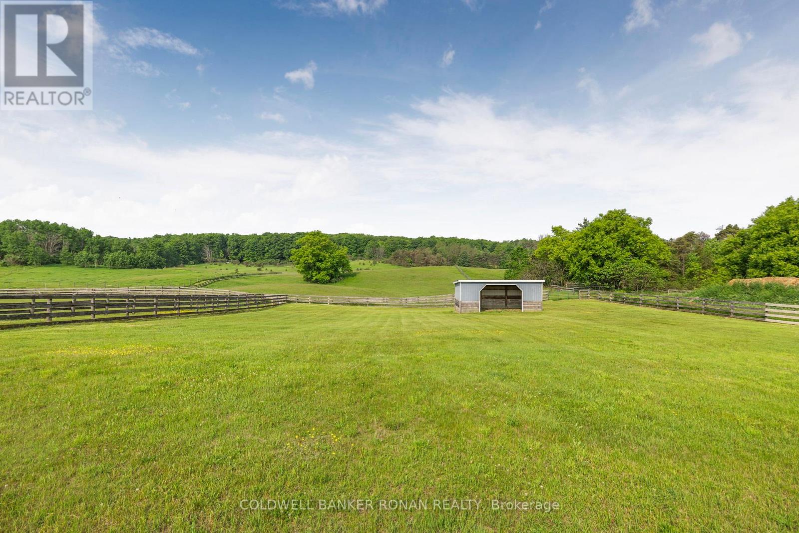 1604 Concession Rd 8, Adjala-Tosorontio, Ontario  L0G 1W0 - Photo 44 - N12295720