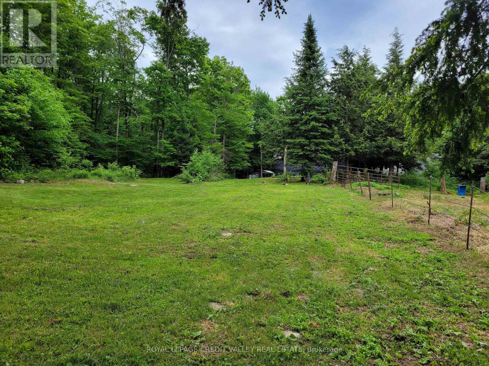 246 Hickey Trail, Hastings Highlands, Ontario  K0L 1C0 - Photo 13 - X12295743