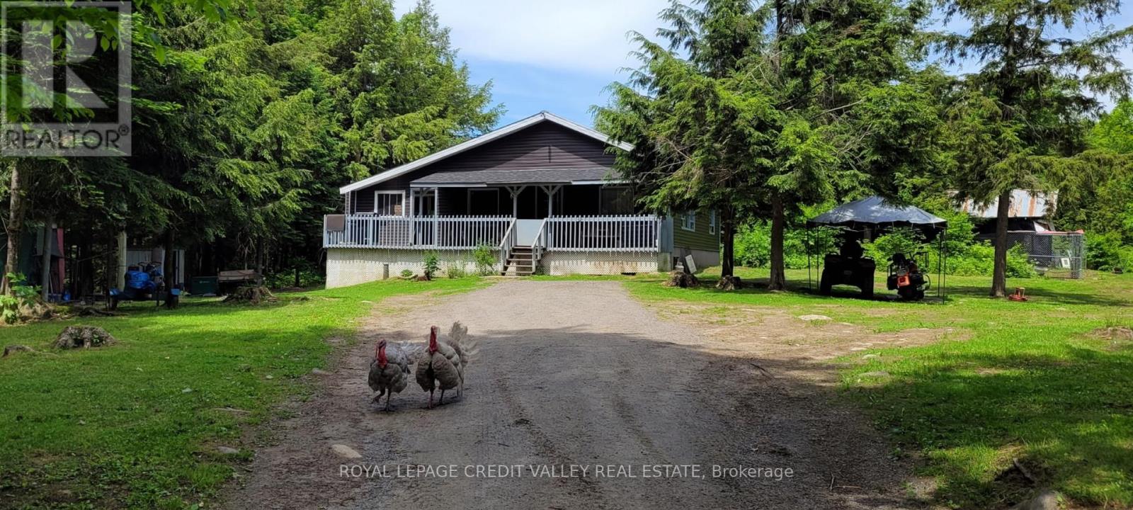 246 Hickey Trail, Hastings Highlands, Ontario  K0L 1C0 - Photo 14 - X12295743