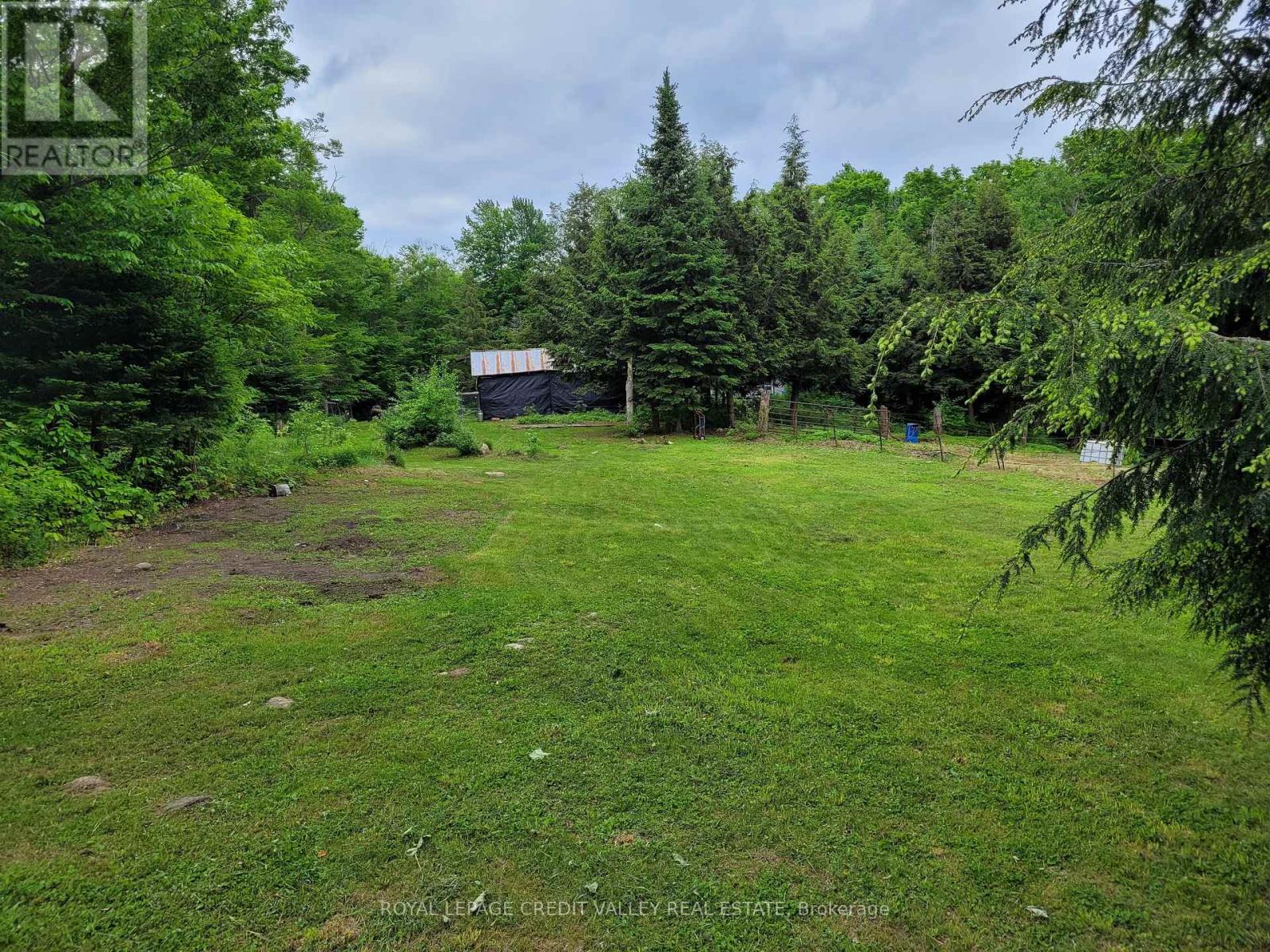 246 Hickey Trail, Hastings Highlands, Ontario  K0L 1C0 - Photo 15 - X12295743