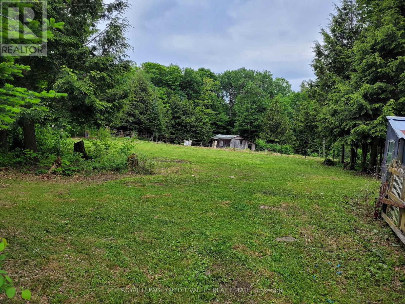 246 Hickey Trail, Hastings Highlands, Ontario  K0L 1C0 - Photo 16 - X12295743