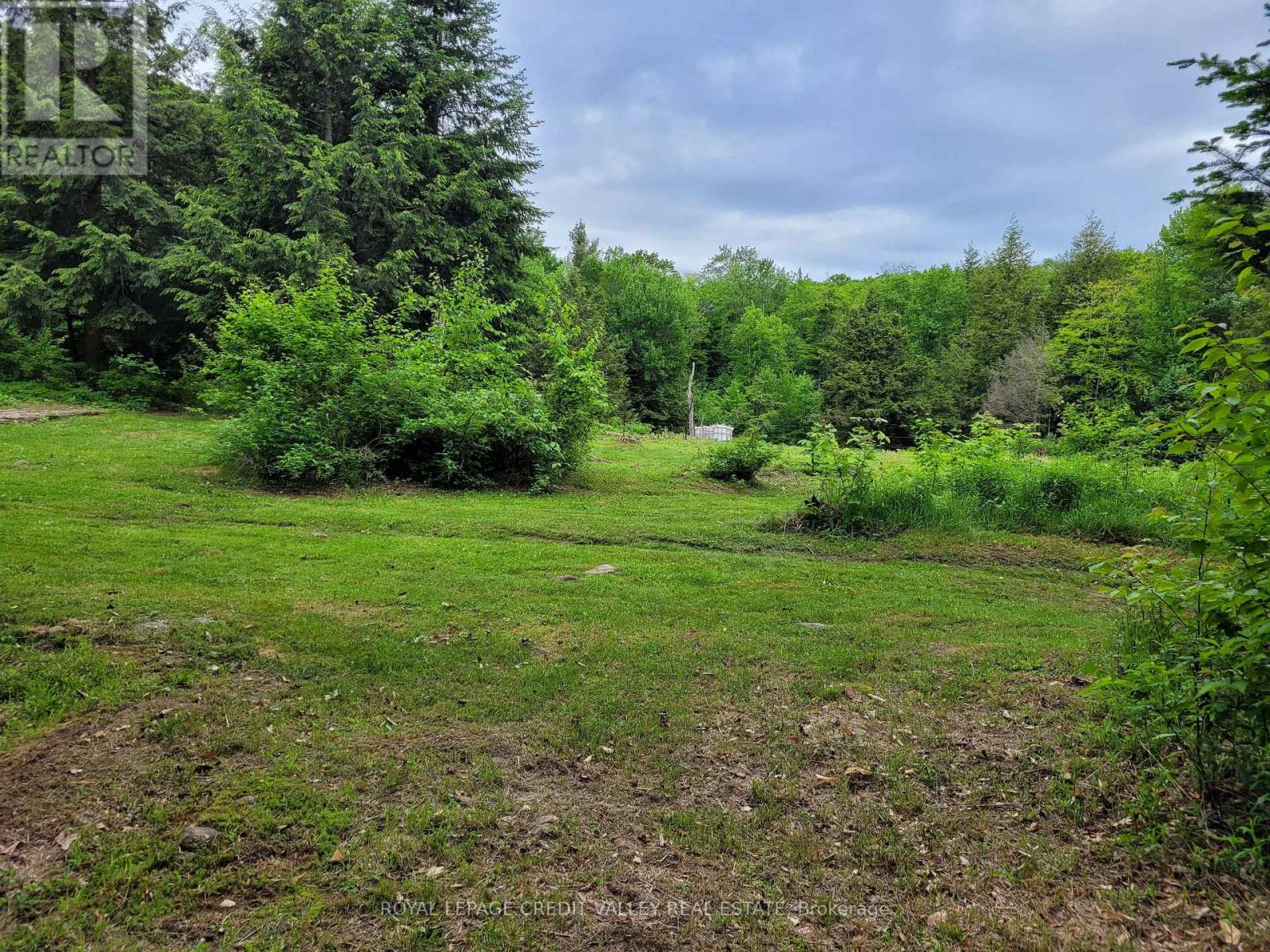 246 Hickey Trail, Hastings Highlands, Ontario  K0L 1C0 - Photo 17 - X12295743