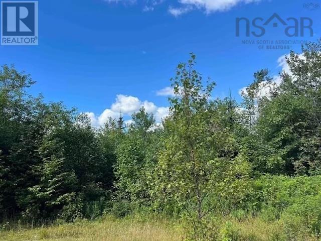 Maclean, Hunters Mountain, Nova Scotia  B0E 1B0 - Photo 3 - 202517671