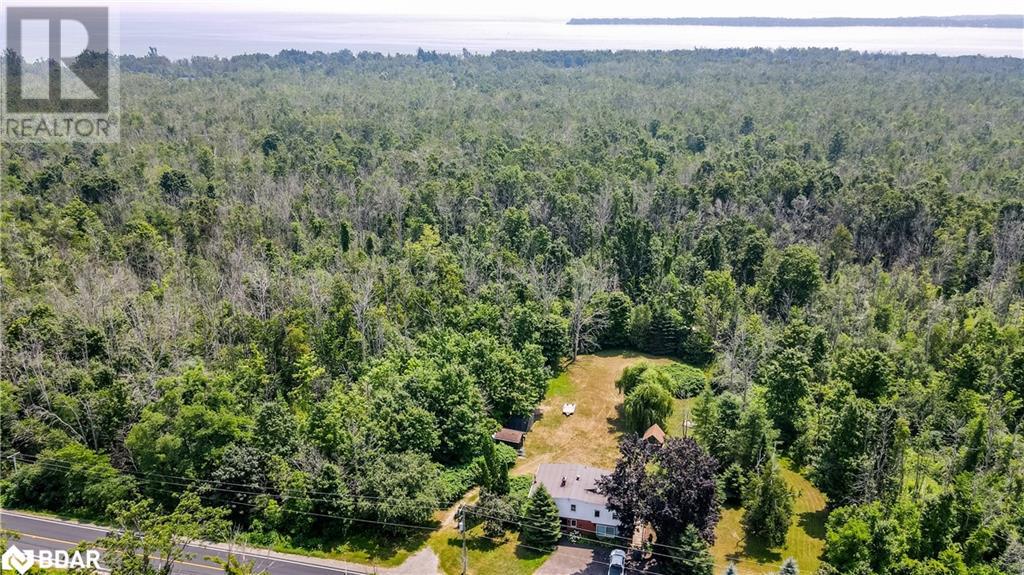 953 Ridge Road W, Oro-Medonte, Ontario  L0L 2E0 - Photo 38 - 40752610