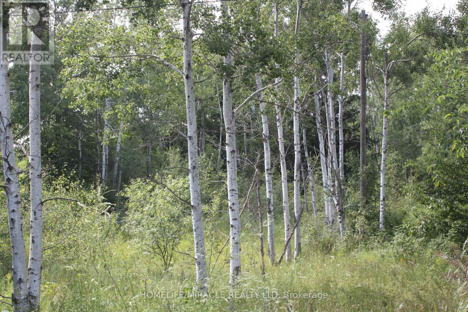 380 HIGHWAY 15, Rideau Lakes, Ontario