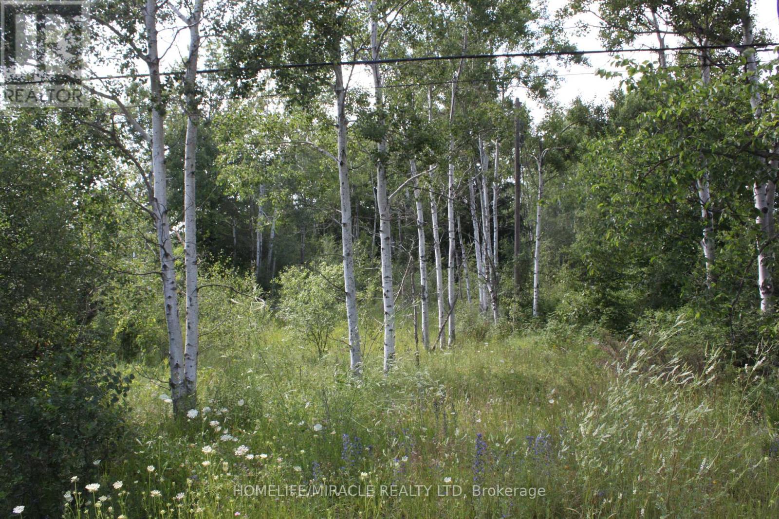 380 Highway 15, Rideau Lakes, Ontario  K7A 5B8 - Photo 2 - X12296015