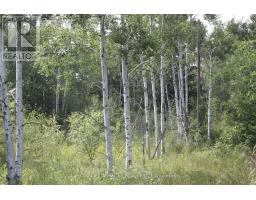 380 HIGHWAY 15, Rideau Lakes, Ontario