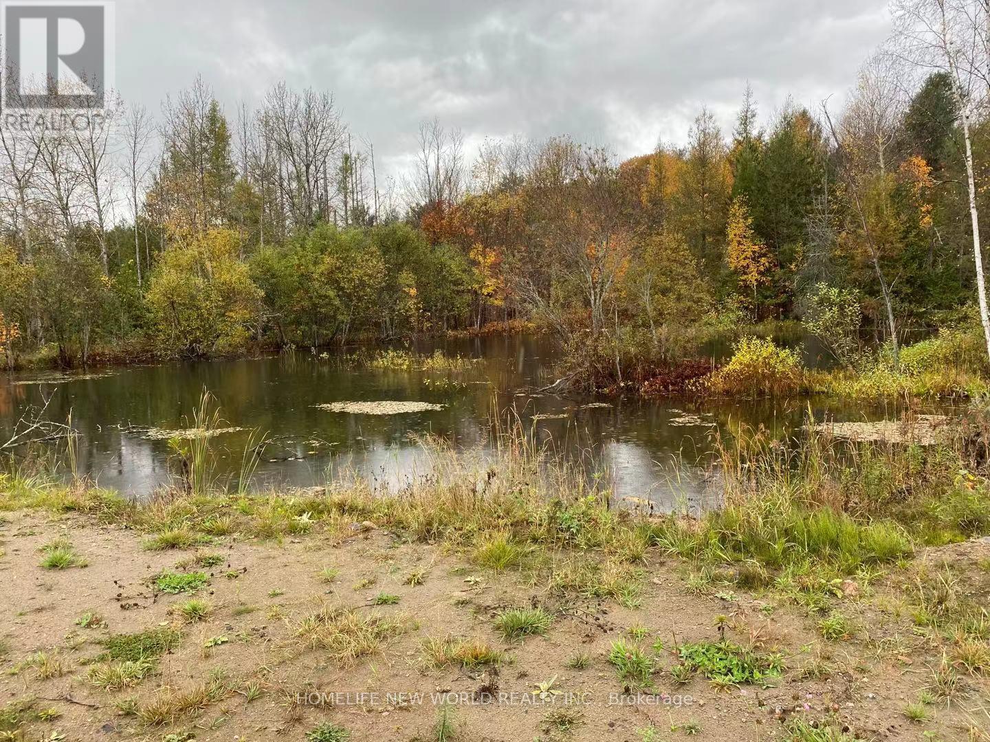 261 Wingle Road, Brudenell, Ontario  K0J 2E0 - Photo 15 - X12238688