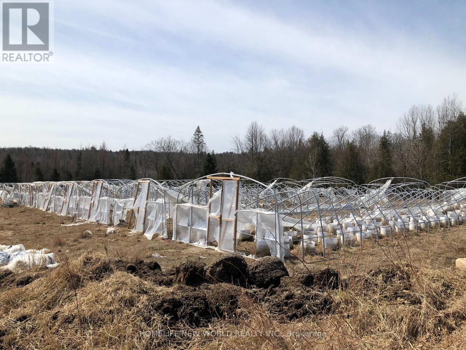 261 Wingle Road, Brudenell, Ontario  K0J 2E0 - Photo 19 - X12238688