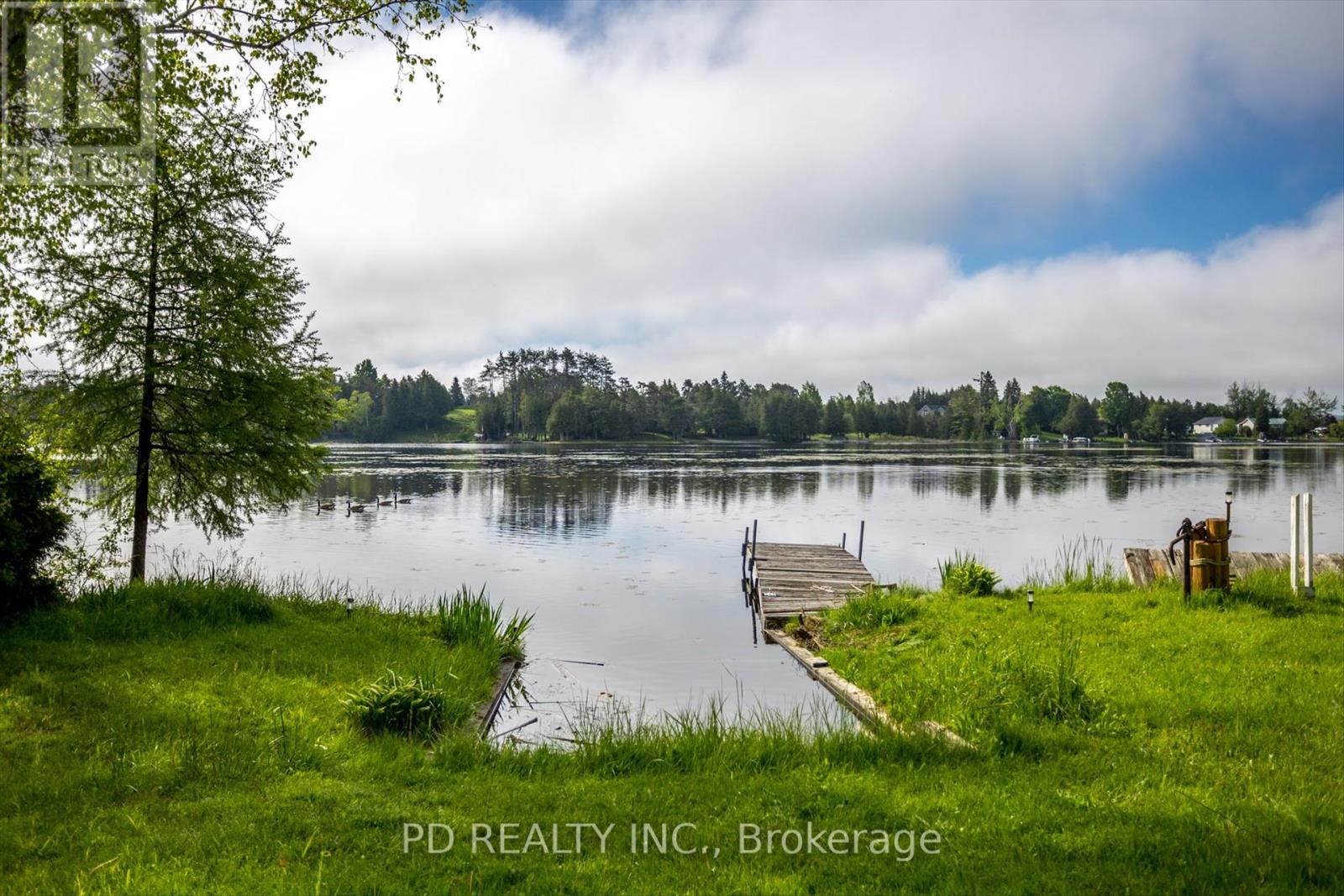 22 Evergreen Street, Kawartha Lakes, Ontario  K0L 2W0 - Photo 7 - X12175508