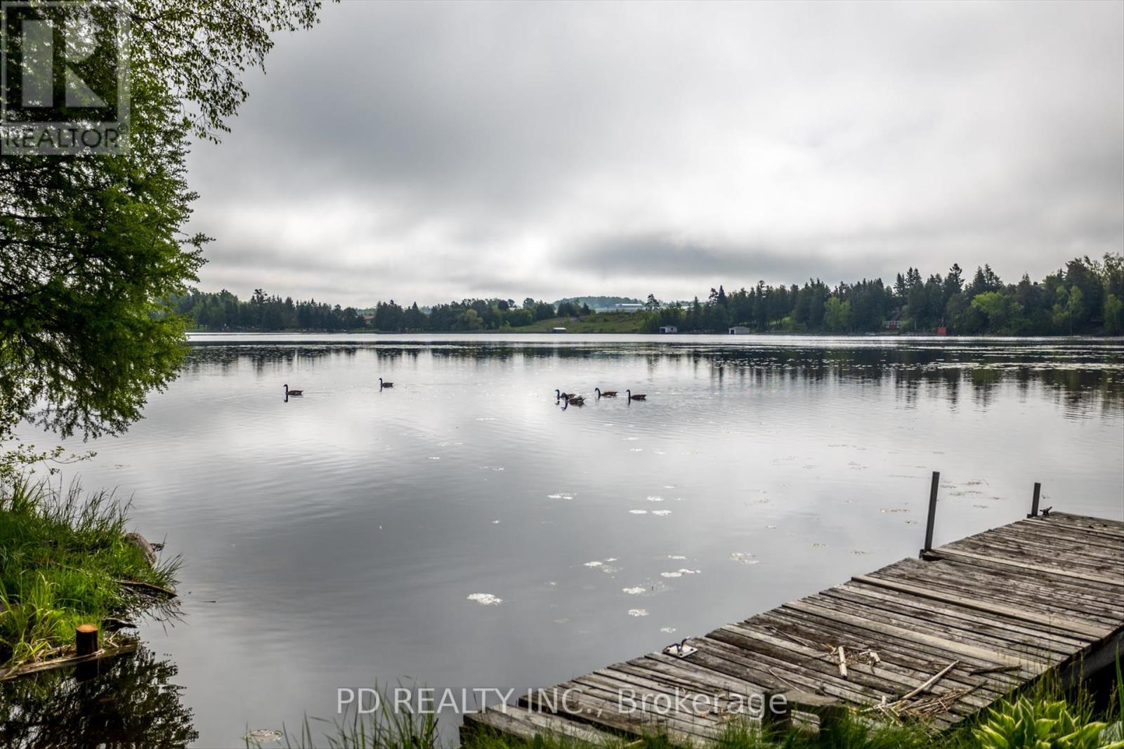 22 Evergreen Street, Kawartha Lakes, Ontario  K0L 2W0 - Photo 6 - X12175508