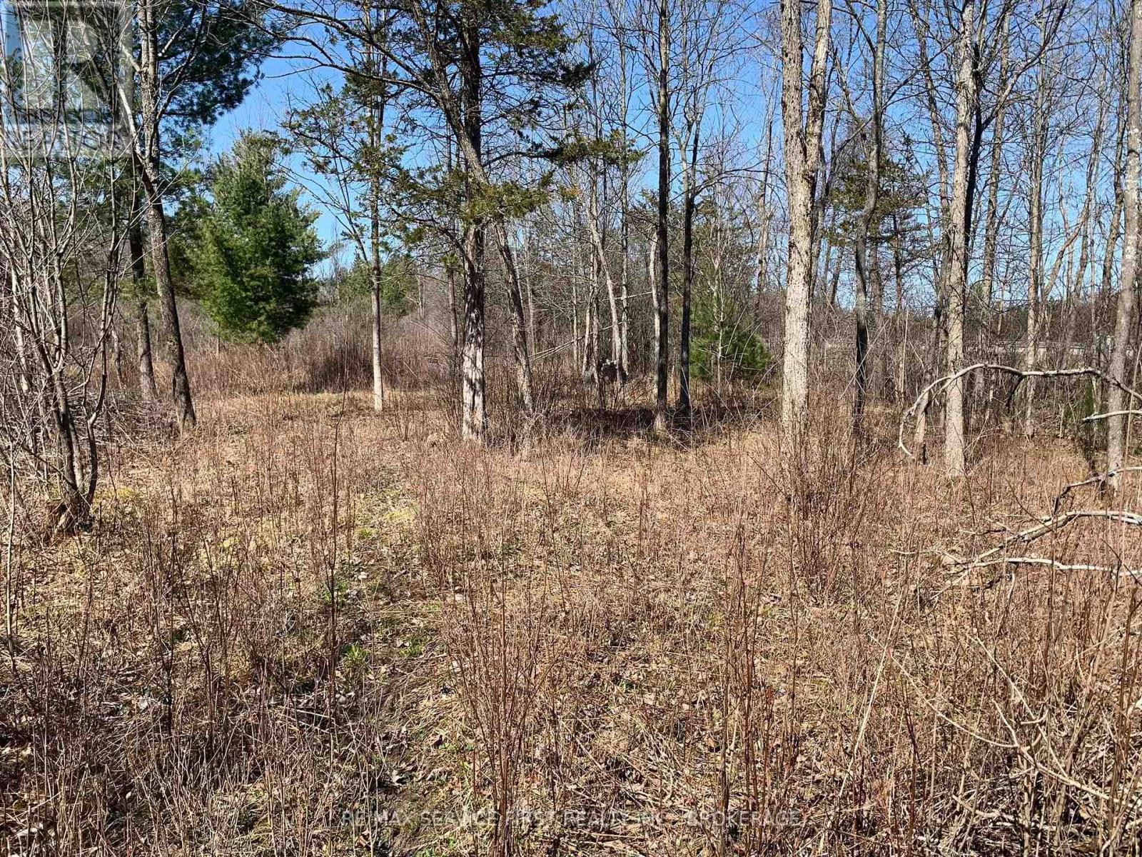 0 Selton School Road, Front Of Leeds & Seeleys Bay, Ontario  K0E 1L0 - Photo 3 - X12295129