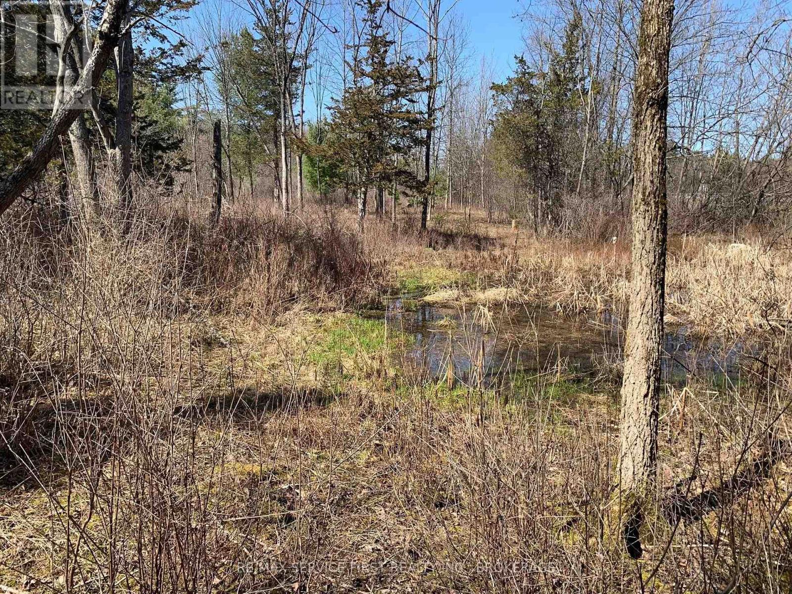 0 Selton School Road, Front Of Leeds & Seeleys Bay, Ontario  K0E 1L0 - Photo 4 - X12295129