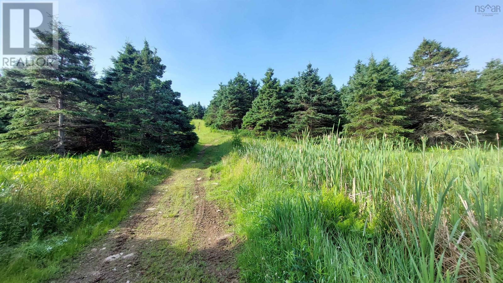 26 Acre 247 Highway, L'ardoise, Nova Scotia  B0E 1S0 - Photo 12 - 202518142