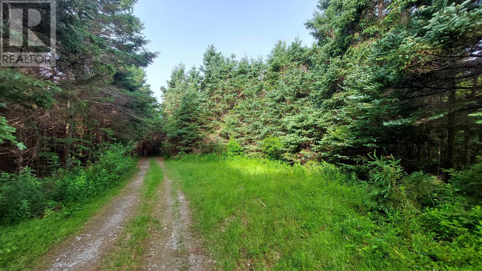 26 Acre 247 Highway, L'ardoise, Nova Scotia  B0E 1S0 - Photo 11 - 202518142