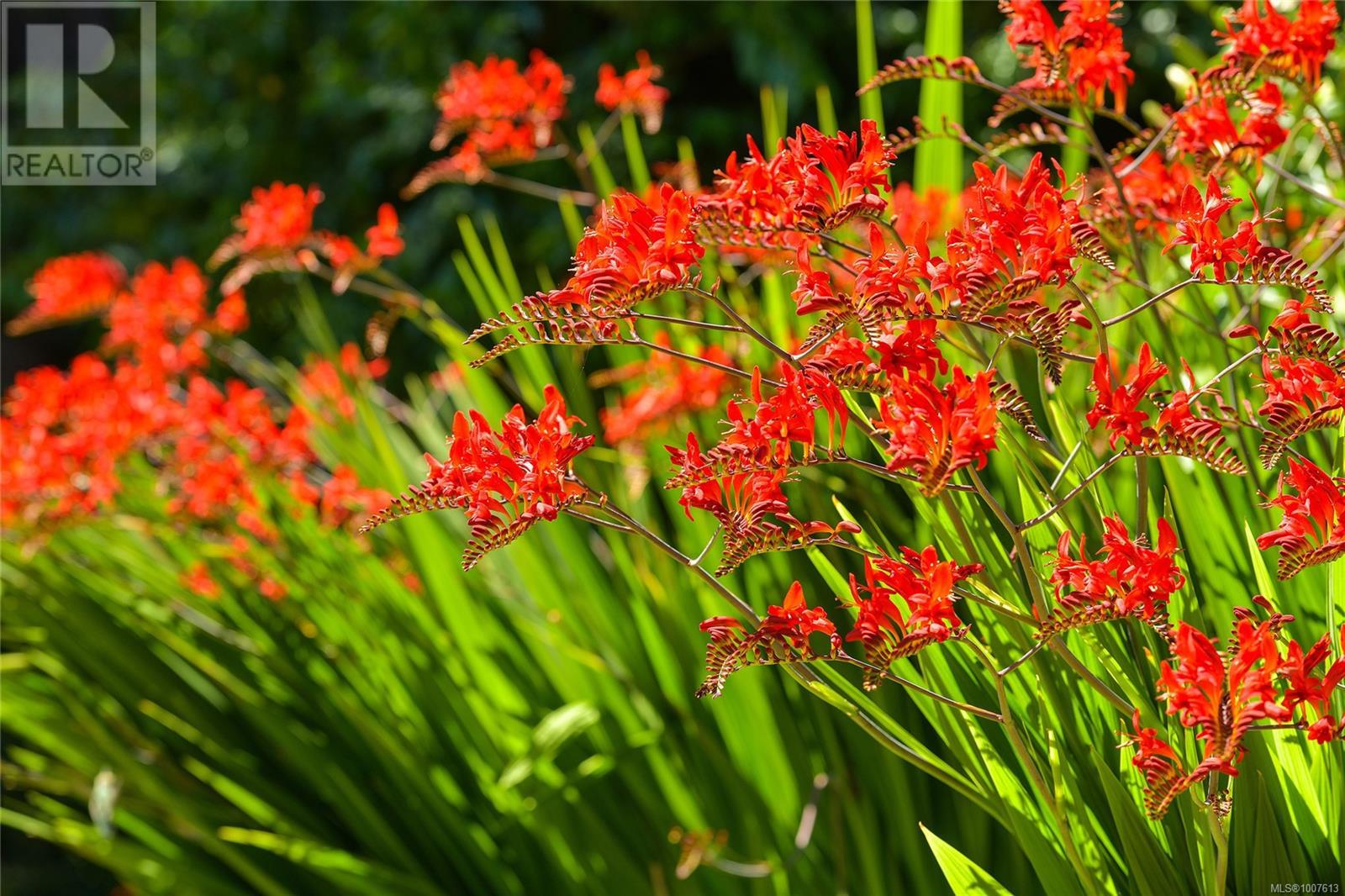 10 1956 Glenidle Rd, Sooke, British Columbia  V9Z 0B2 - Photo 43 - 1007613