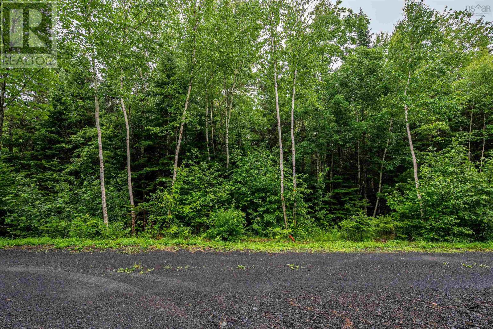 B47 Birchwood Trail, Cheverie, Nova Scotia  B0N 1G0 - Photo 4 - 202517888