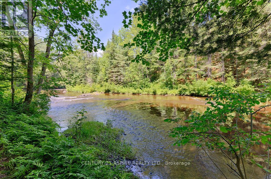 539 Schwan Road, Laurentian Valley, Ontario  K8A 6W8 - Photo 44 - X12293034