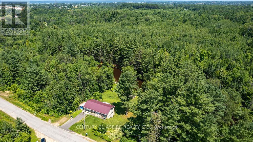 539 Schwan Road, Laurentian Valley, Ontario  K8A 6W8 - Photo 29 - X12293034