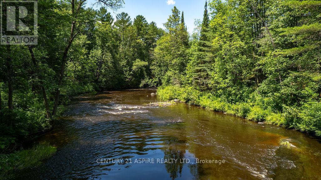 539 Schwan Road, Laurentian Valley, Ontario  K8A 6W8 - Photo 33 - X12293034