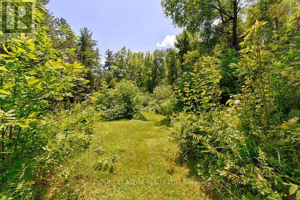 539 Schwan Road, Laurentian Valley, Ontario  K8A 6W8 - Photo 43 - X12293034