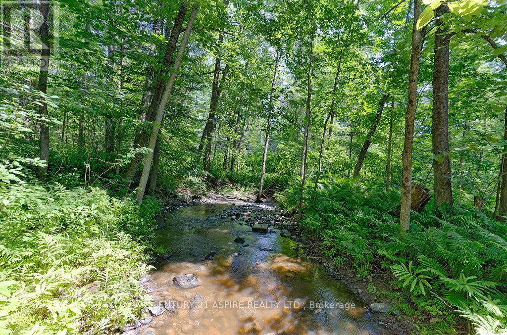 539 Schwan Road, Laurentian Valley, Ontario  K8A 6W8 - Photo 46 - X12293034