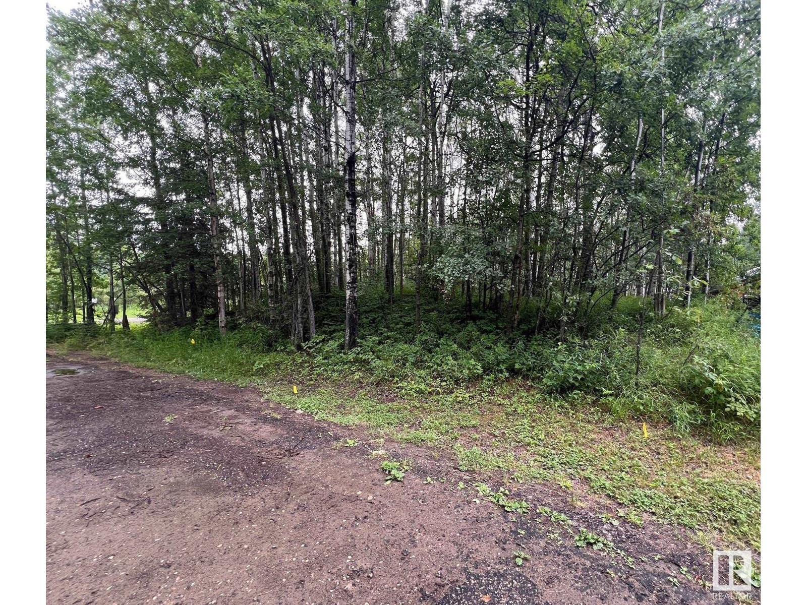 2130 2001 Twp Rd 474, Rural Leduc County, Alberta  T0C 2P0 - Photo 15 - E4393526