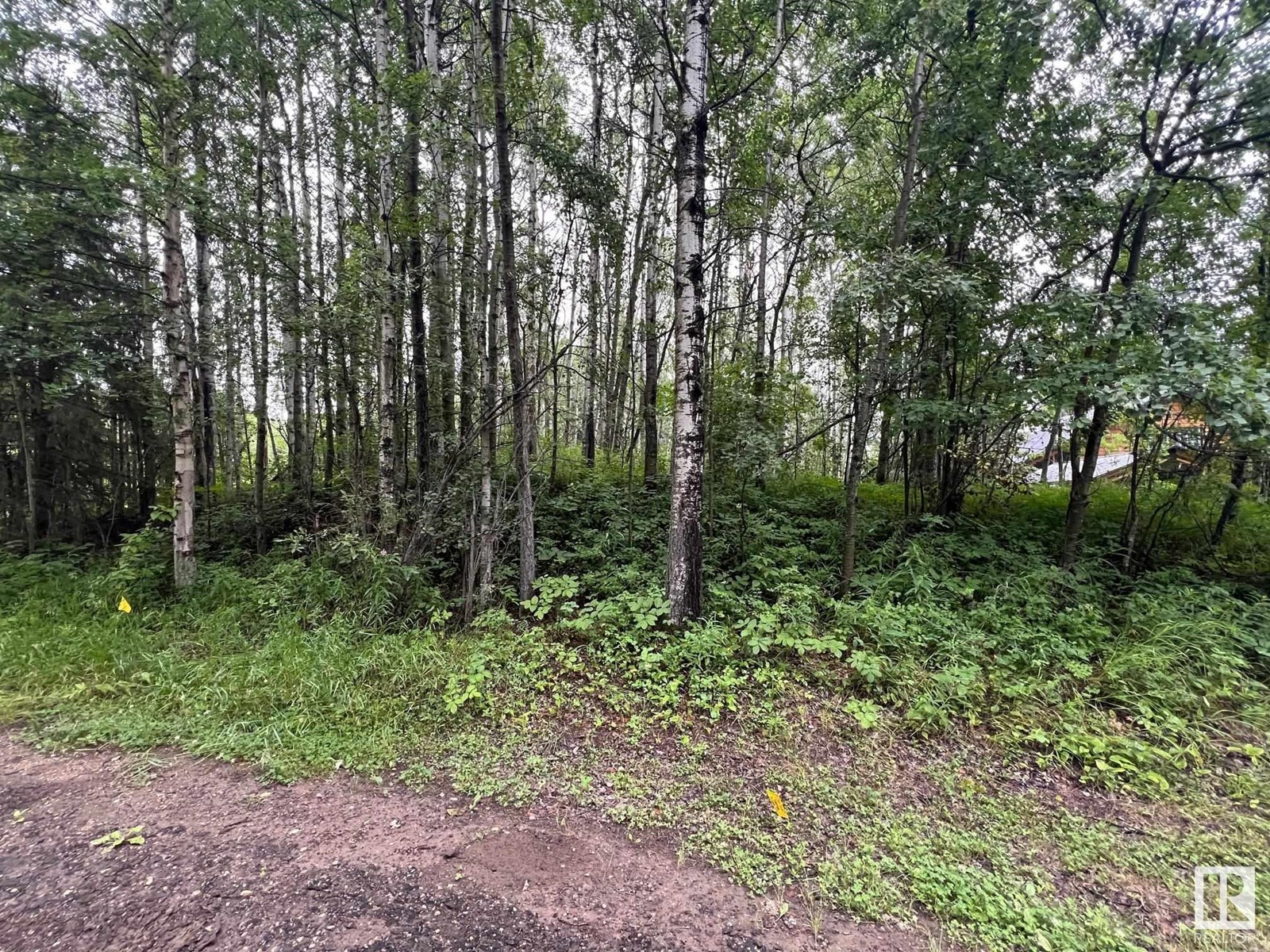 2130 2001 Twp Rd 474, Rural Leduc County, Alberta  T0C 2P0 - Photo 21 - E4393526