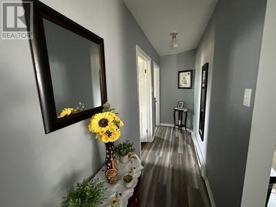 28 Earles Lane, Carbonear, Newfoundland & Labrador  A1Y 1A5 - Photo 18 - 1288104