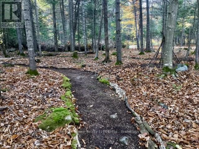 0 Pilgers Road, Nipissing, Ontario  P0H 1J0 - Photo 13 - X12296408