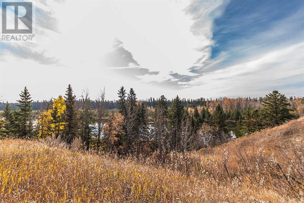 Range Road 12, Rural Red Deer County, Alberta  T4G 0M9 - Photo 3 - A2213739