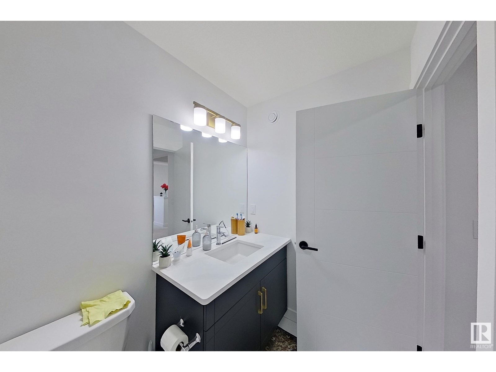 1340 11 Av Nw Nw, Edmonton, Alberta  T6T 2W4 - Photo 24 - E4448863