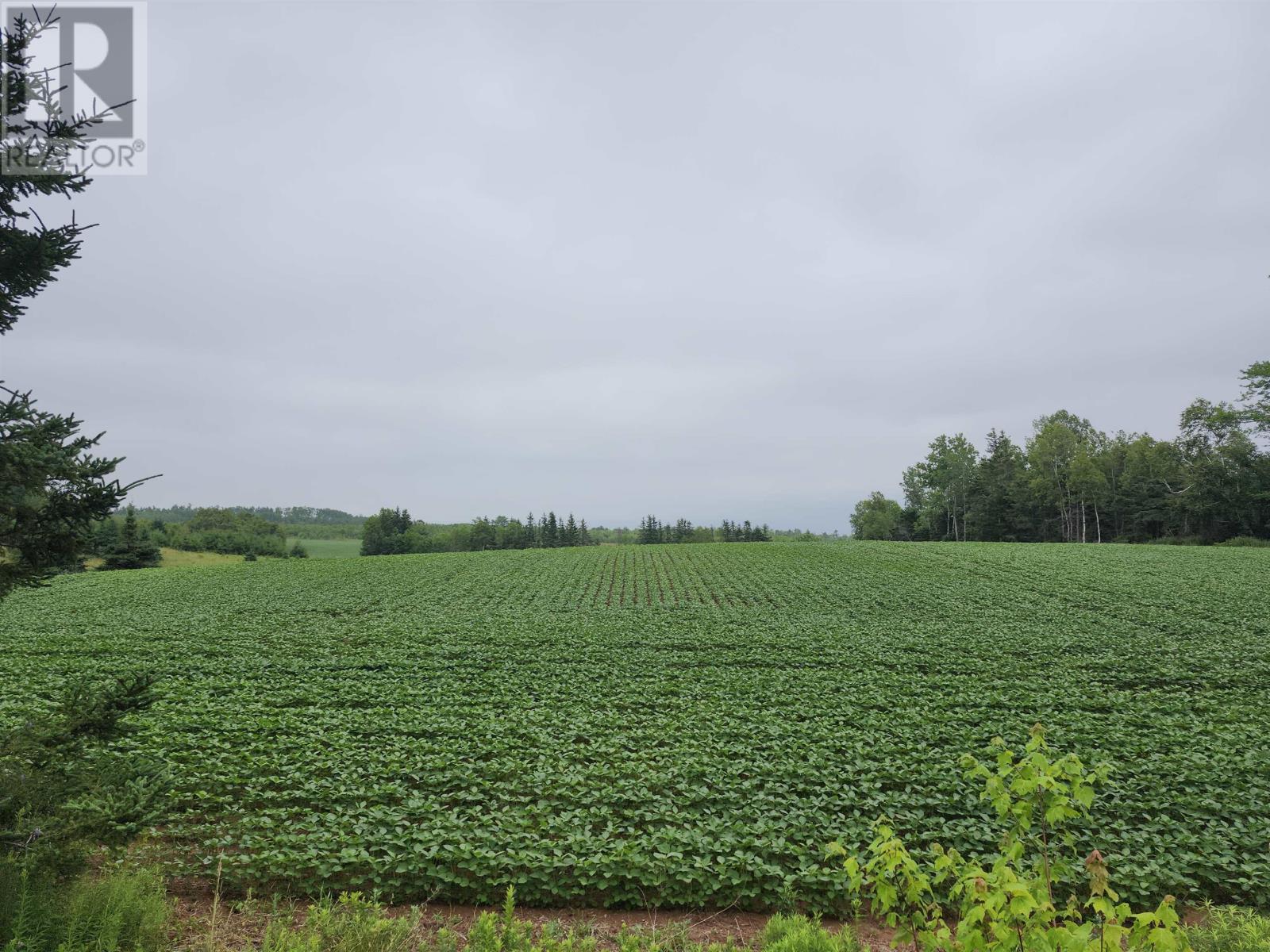 Acreage Selkirk Road, Valley, Prince Edward Island  C0A 1A0 - Photo 5 - 202517819