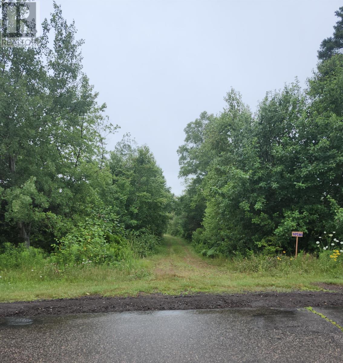 Acreage Selkirk Road, Valley, Prince Edward Island  C0A 1A0 - Photo 4 - 202517835