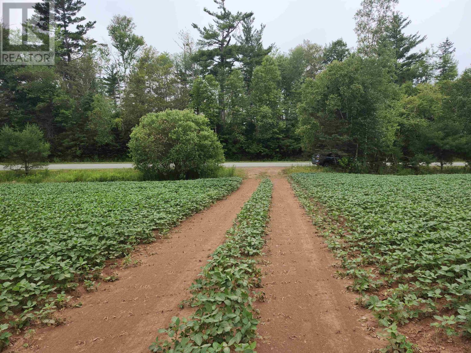 Acreage Selkirk Road, Valley, Prince Edward Island  C0A 1A0 - Photo 8 - 202517819