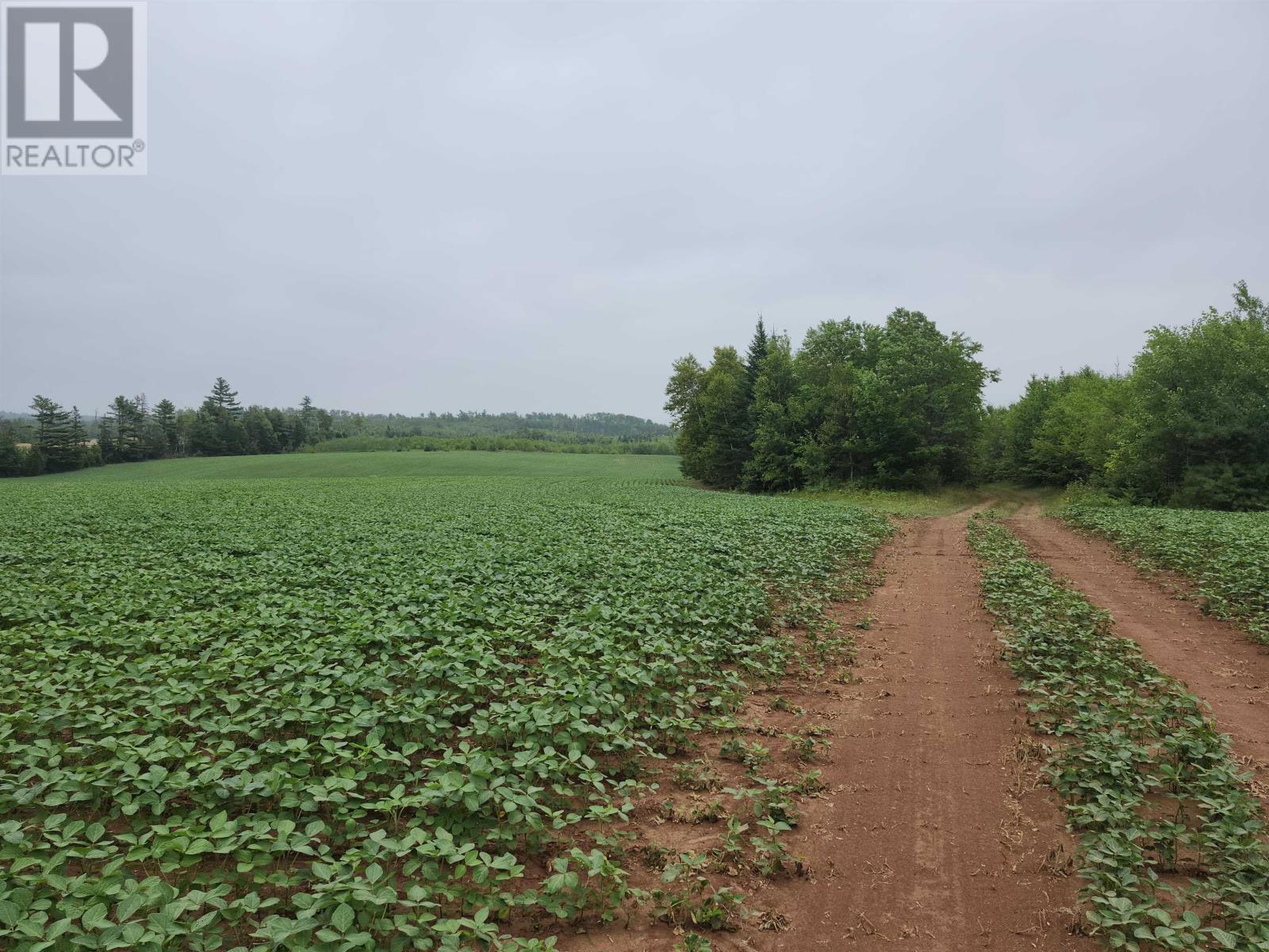 Acreage Selkirk Road, Valley, Prince Edward Island  C0A 1A0 - Photo 7 - 202517819