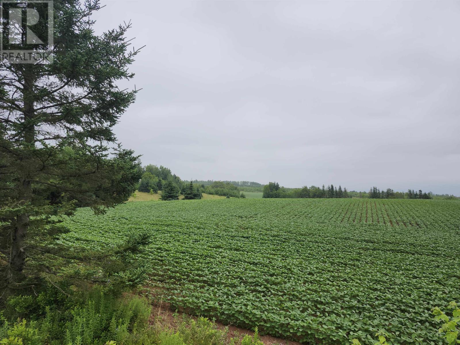 Acreage Selkirk Road, Valley, Prince Edward Island  C0A 1A0 - Photo 6 - 202517819