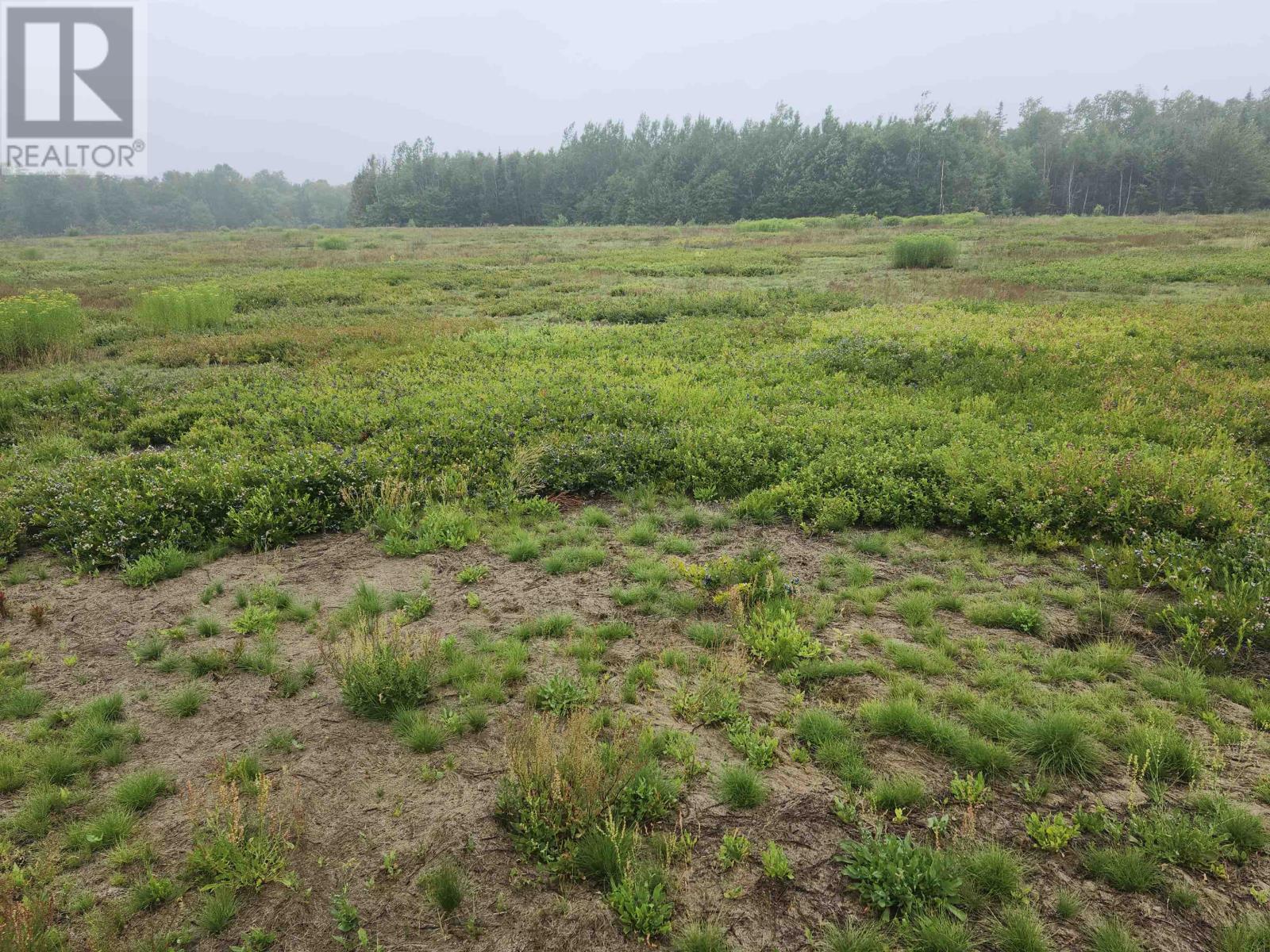 Acreage Selkirk Road, Melville, Prince Edward Island  C0A 1A0 - Photo 5 - 202517841