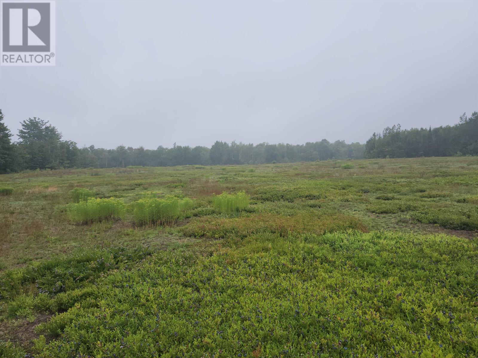 Acreage Selkirk Road, Melville, Prince Edward Island  C0A 1A0 - Photo 6 - 202517841