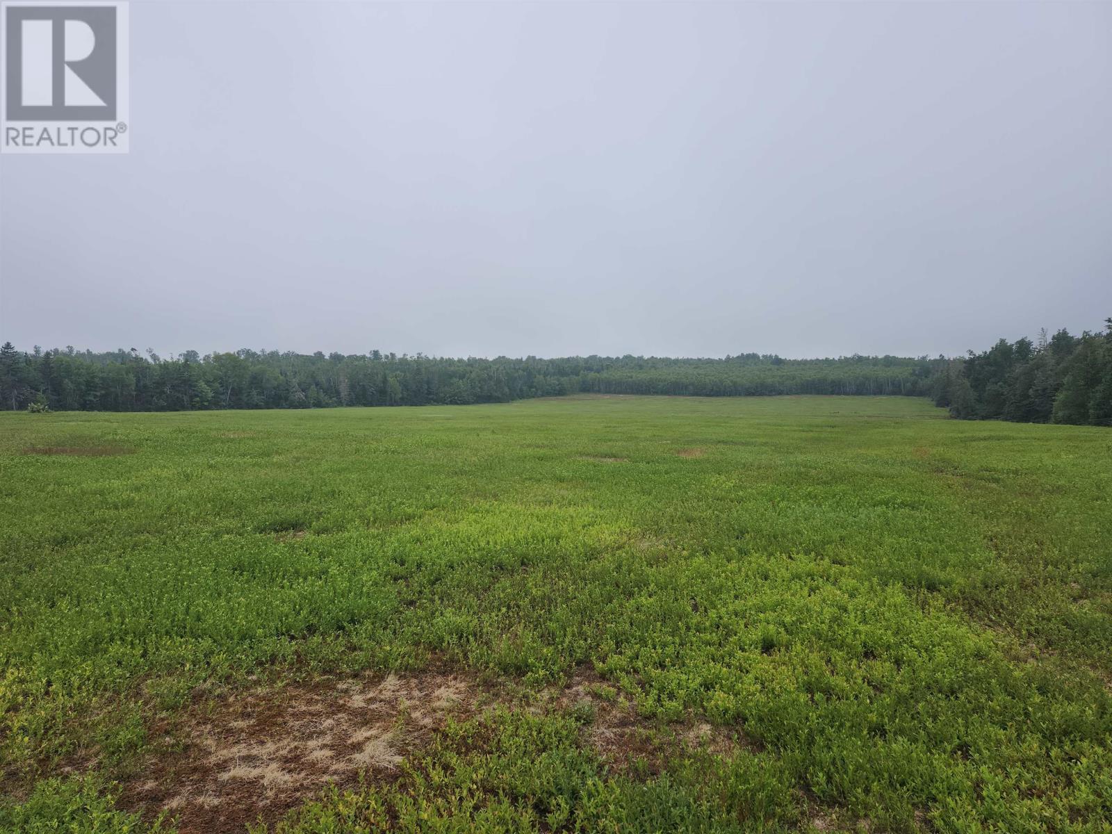 Acreage Selkirk Road, Valley, Prince Edward Island  C0A 1A0 - Photo 3 - 202517814